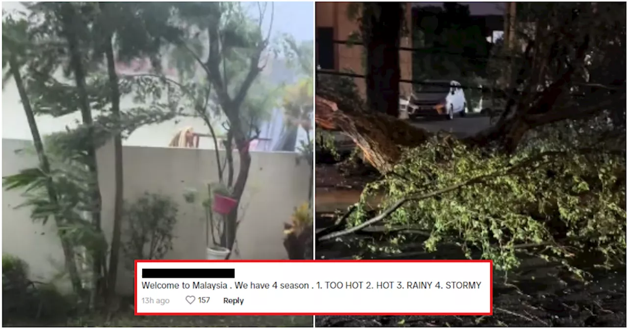 Chaotic Storm in Petaling Jaya Causes Roof to Fly Off, Roads Closed Due to Fallen Trees