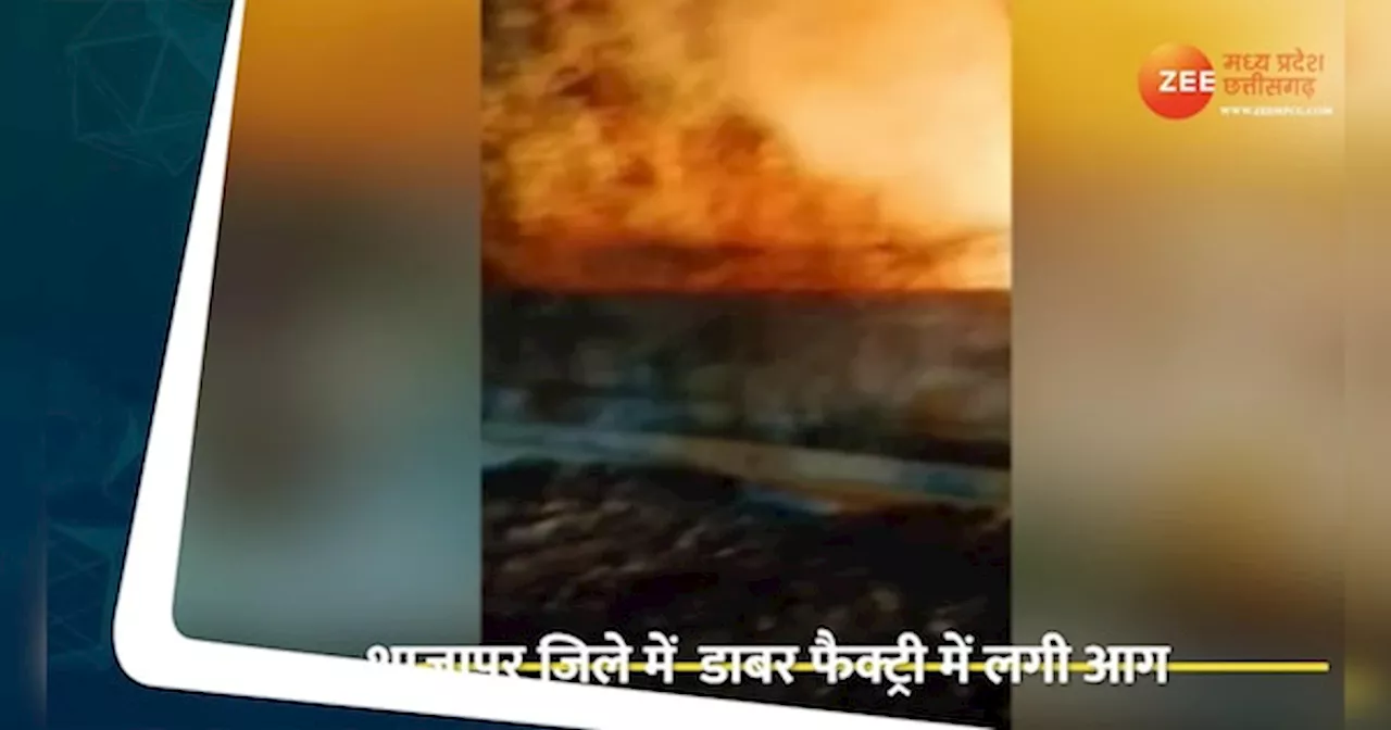 MP News: डाबर फैक्ट्री में लगी भीषण आग, मची अफरा- तफरी, देखें Video