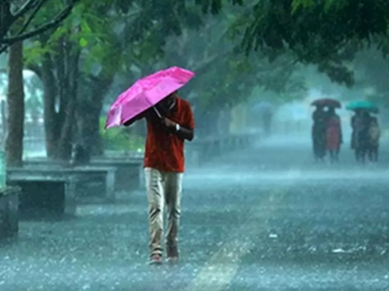 Maharastra Unseasonal Rain : पुढील 48 तास महत्त्वाचे! राज्याच्या 'या' भागात मेघगर्जनेसह पावसाची शक्यता