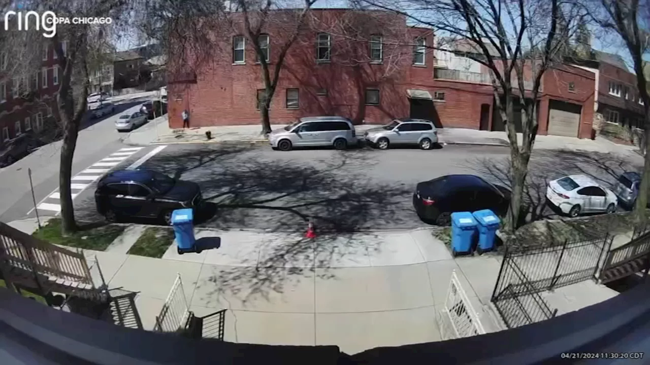 COPA releases video of off-duty Chicago police officer fatally shooting dog in Bridgeport