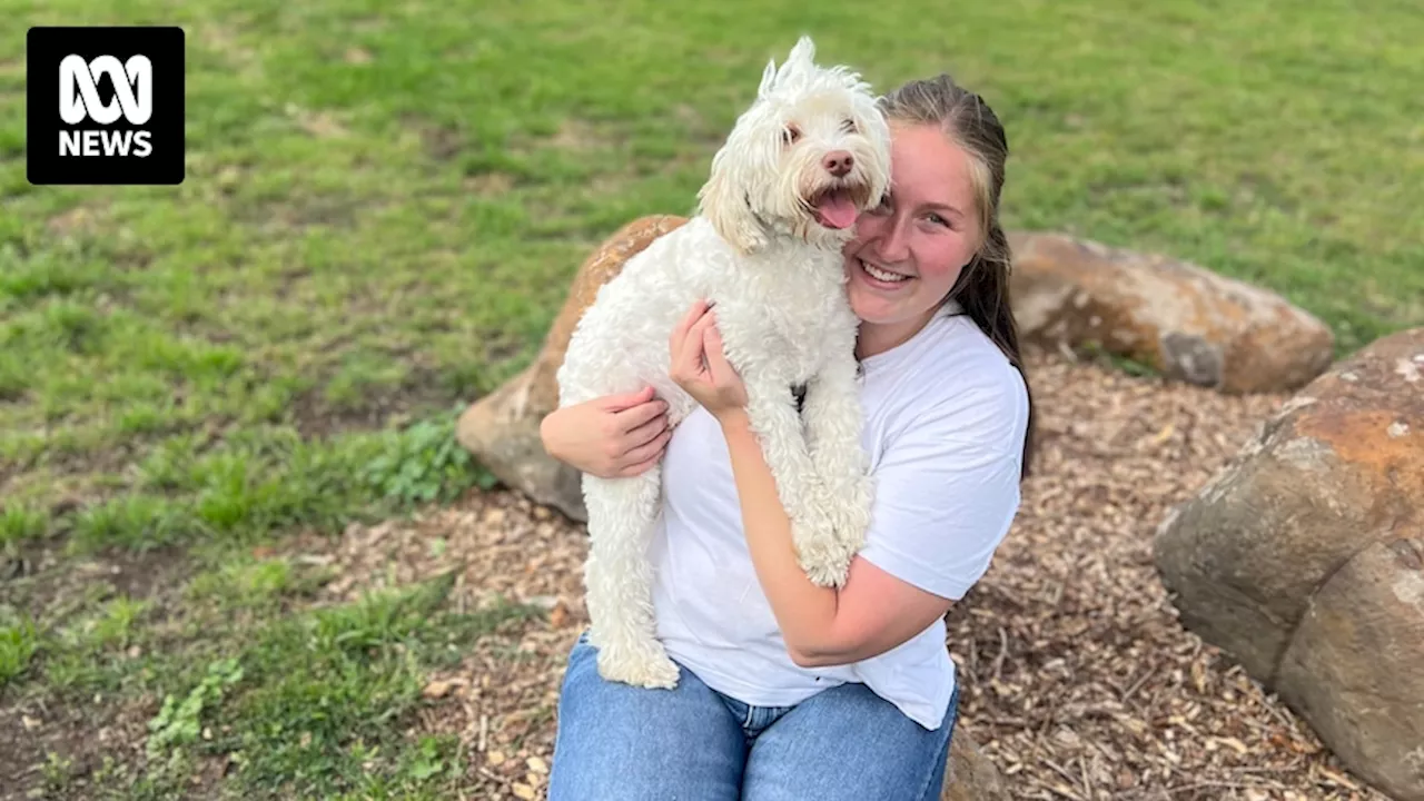 How Elise is preparing for a multi-day hike with her assistance dog Lenny