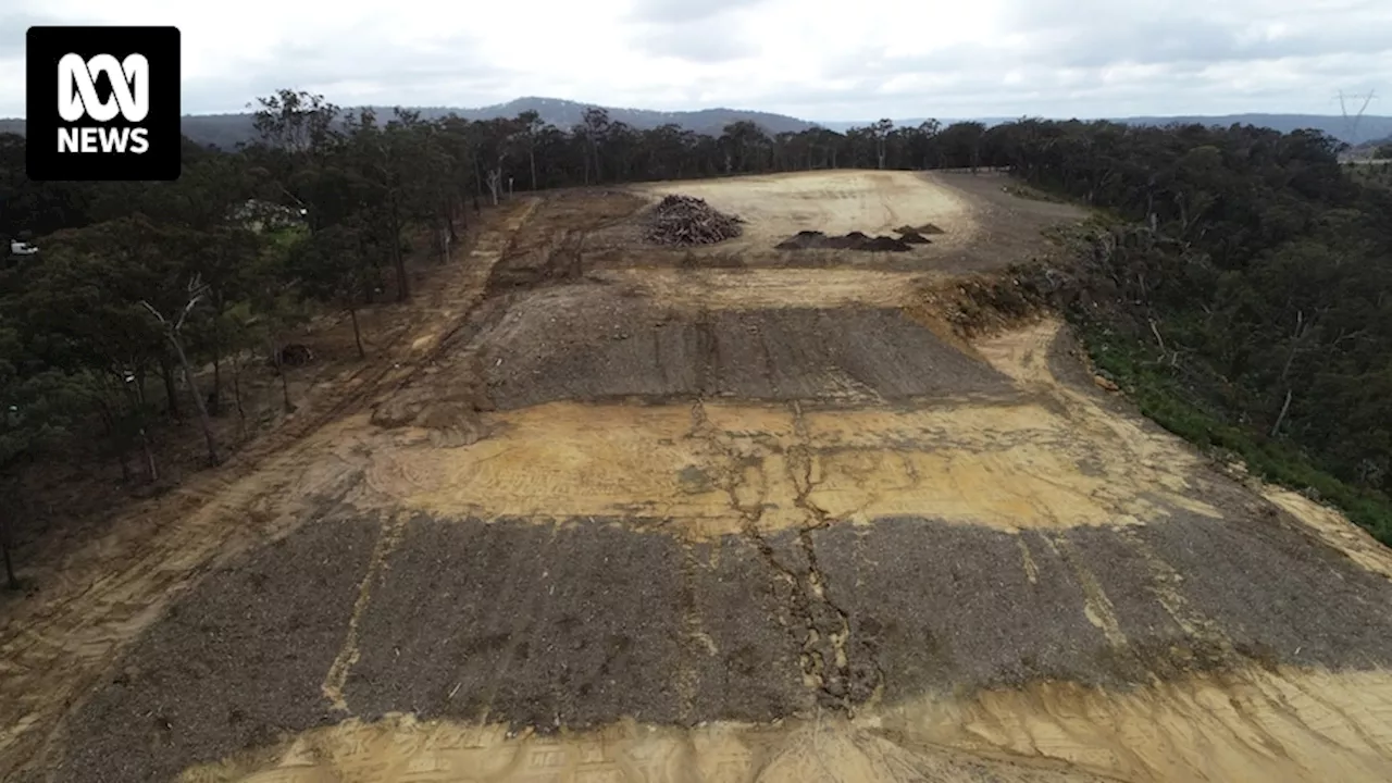 Landowner who ignored orders to stop clearing 200-year-old trees on NSW native bush property fined $125,000