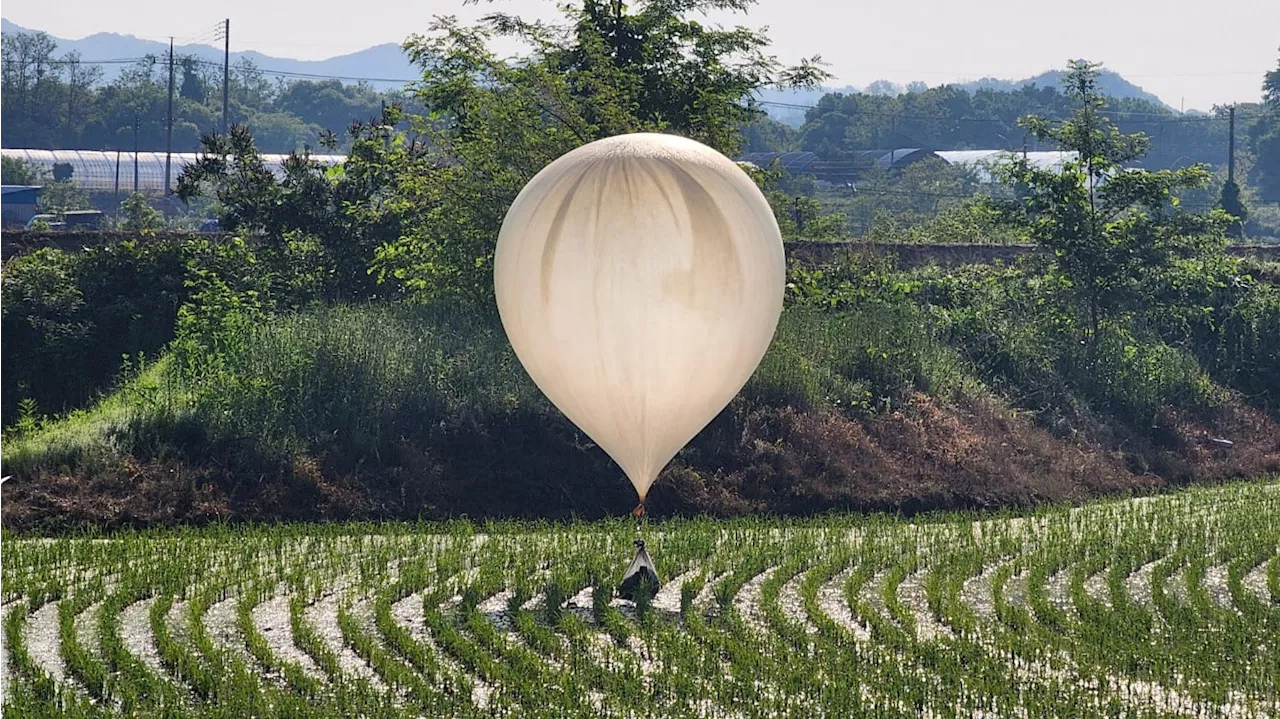 North Korea Sends Waste-Filled Balloons Into South Korea