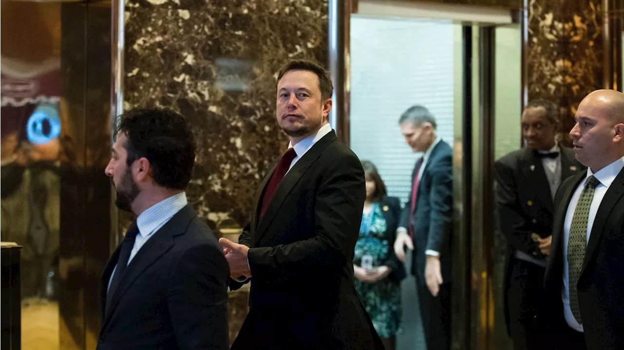 Trump weighs possible advisory role for Elon Musk, WSJ reports