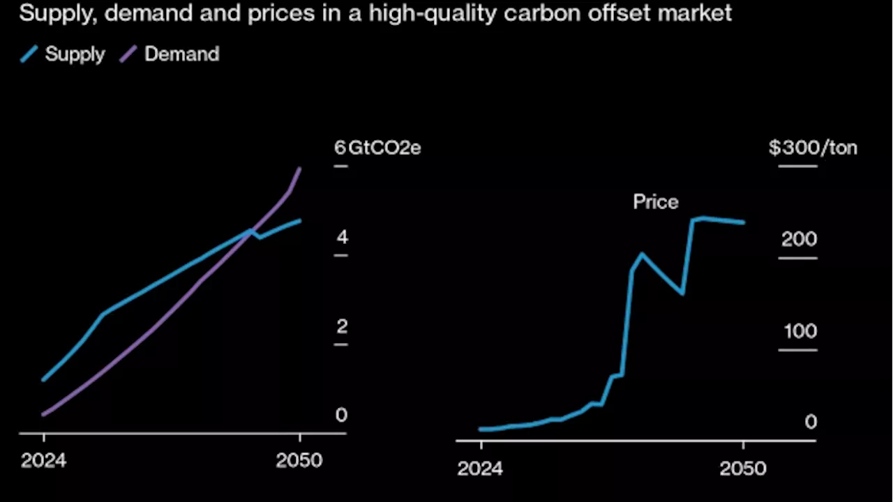 How One of the Most Revered Climate Groups Descended Into Chaos