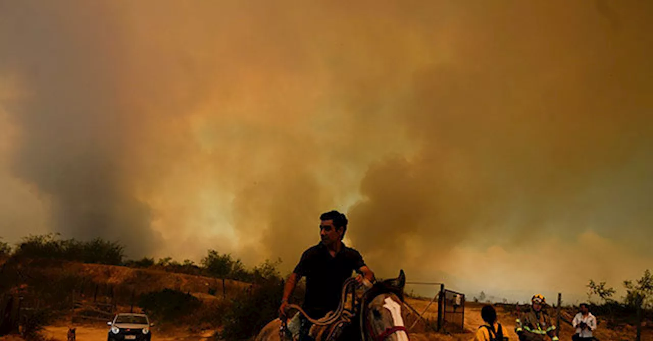 Chile Charges Firefighter with Causing Forest Fires That Killed 137 People