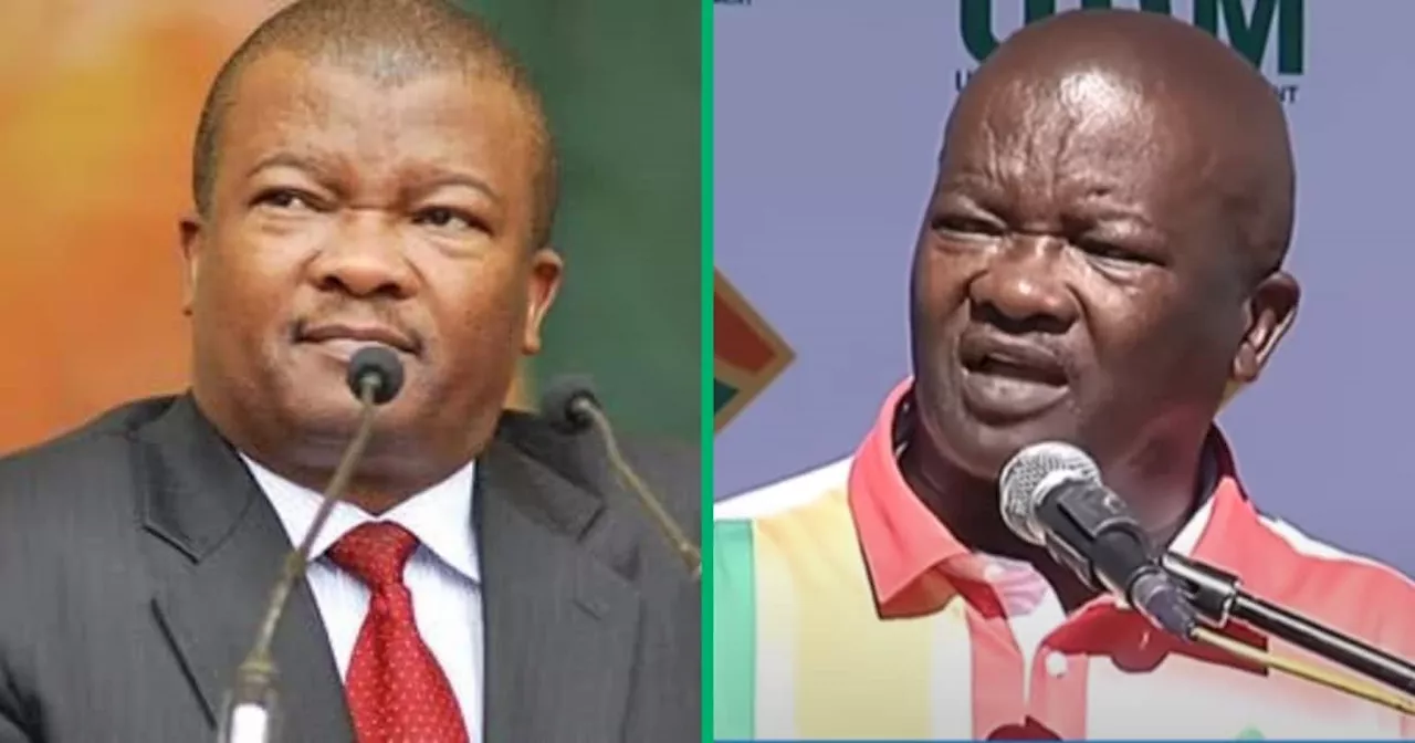 2024 General Elections: UDM Leader Bantu Holomisa Nearly Sent Packing by IEC