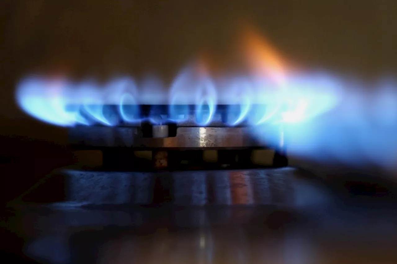 Converting to natural gas too pricey for B.C. restaurants, says report