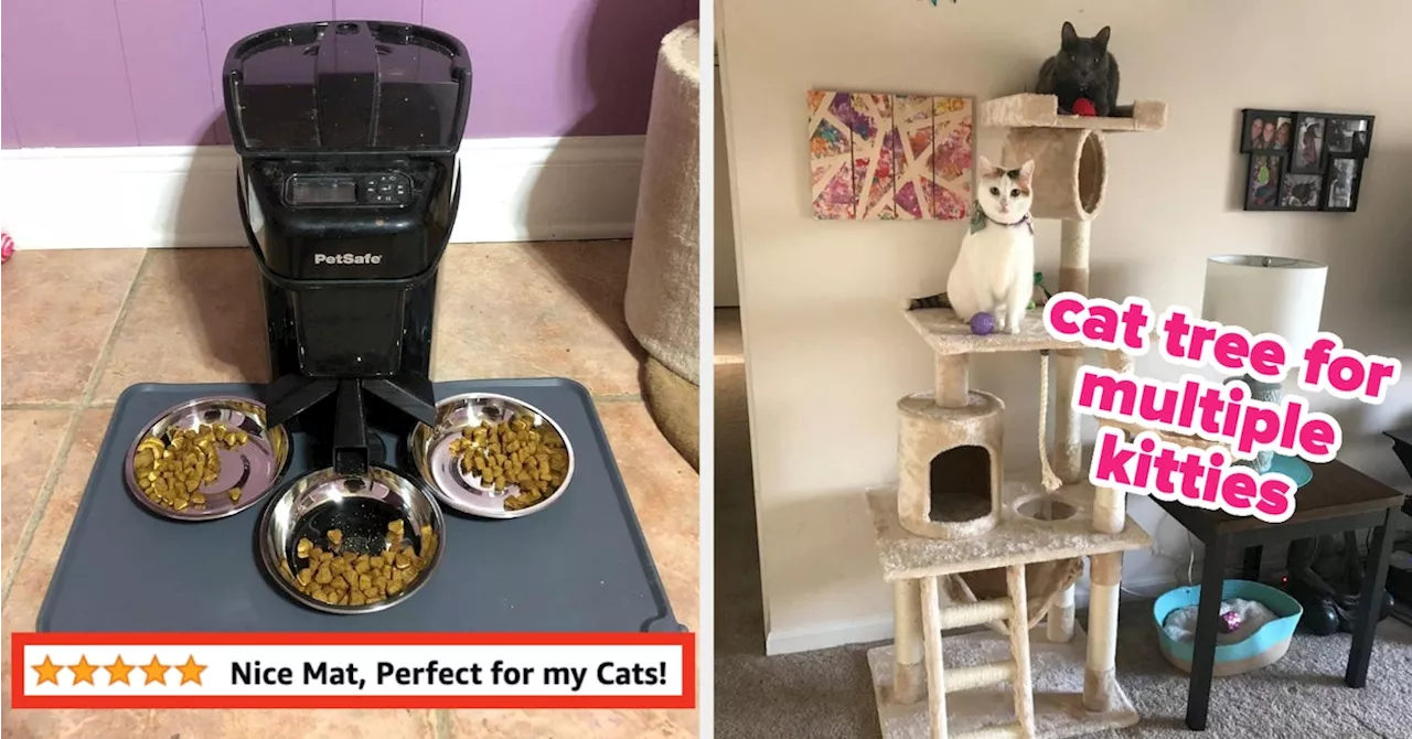 28 Products That'll Make You Feel Like A Cat Expert