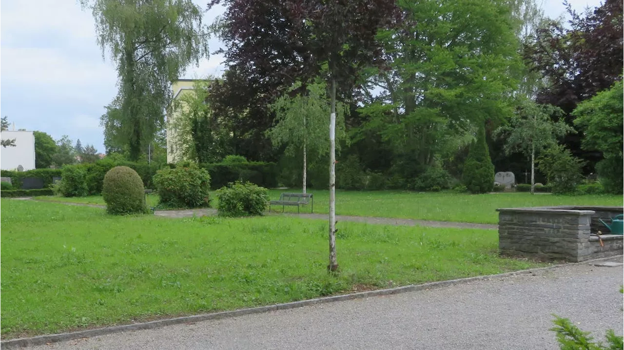 Friedhof stösst an seine Grenzen: Nun braucht es Platz für 250 neue Urnenplattengräber