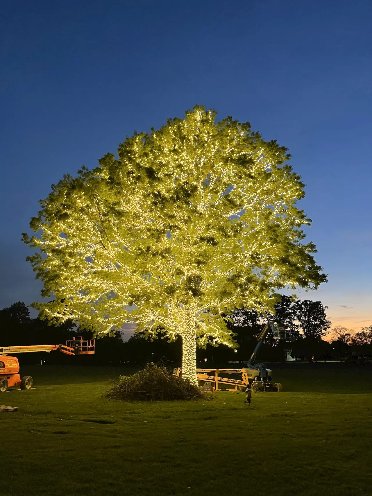 Western Reserve Academy, city of Hudson to illuminate 60-foot oak tree to mark milestones