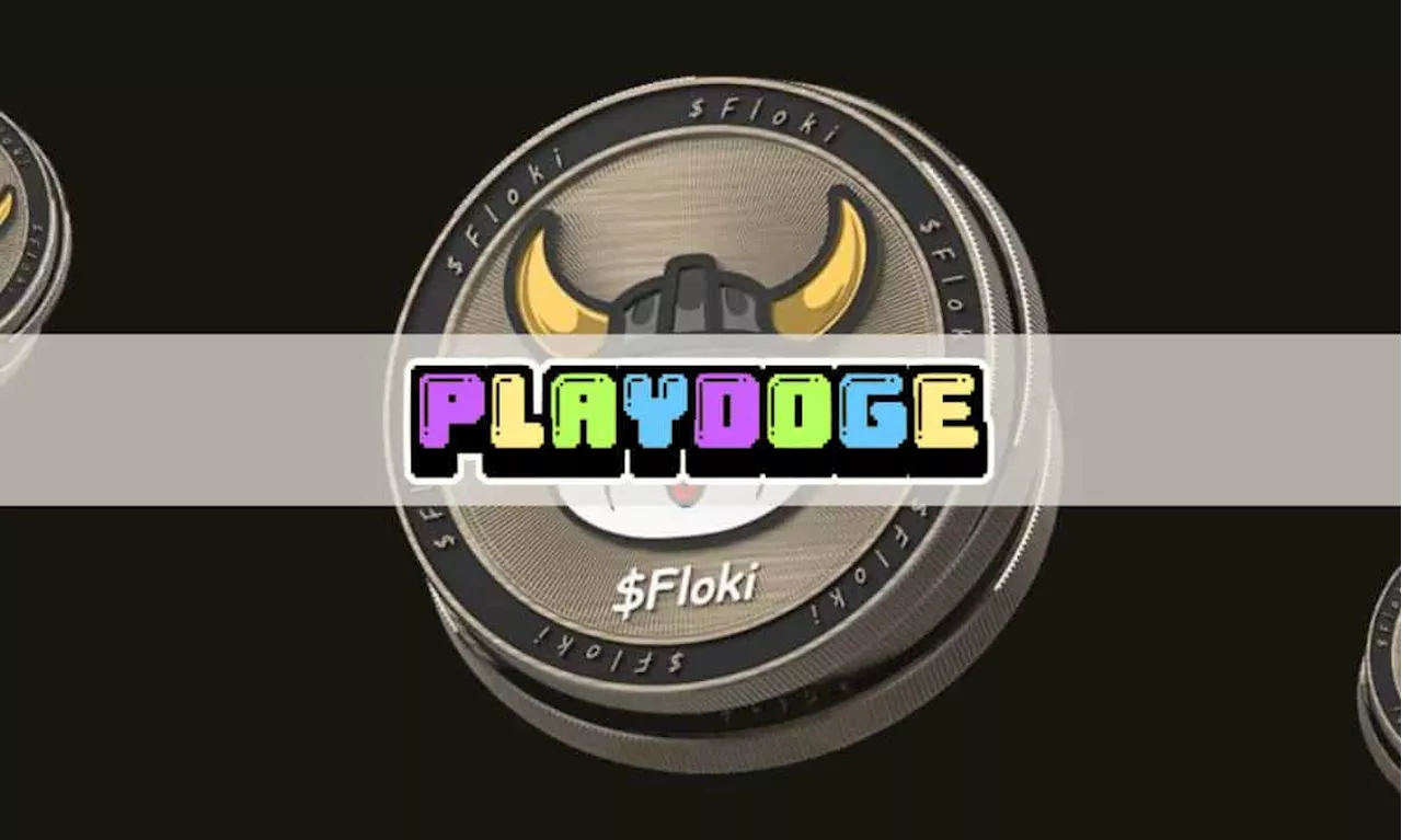 Floki Price Continues to Rise As New P2E Meme Coin PlayDoge Raises $250k