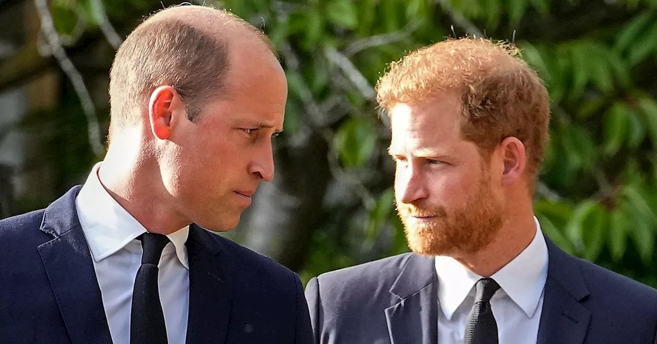 Prince Harry's abrupt 'two words' after snubbing 'William's heart-to-heart'