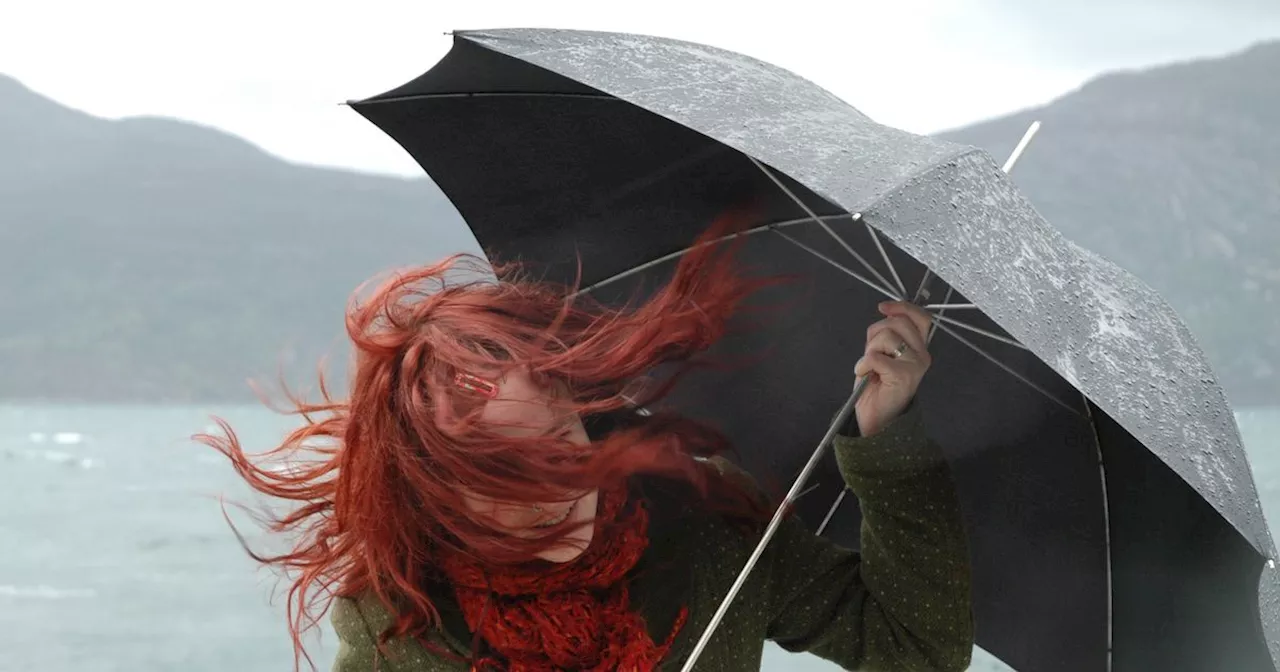 Shoppers race to buy £12 'unbreakable' umbrella hailed a 'game-changer'