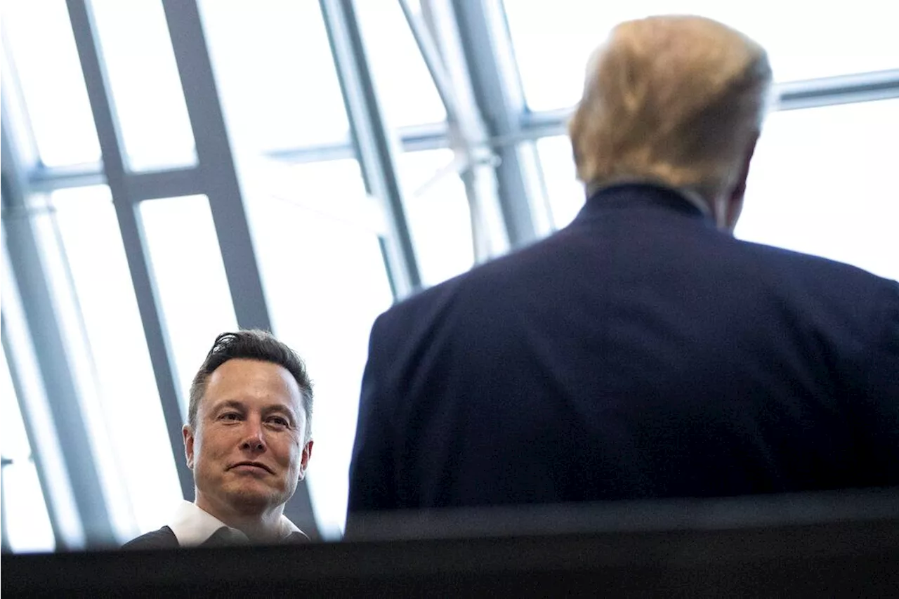 Trump considering Elon Musk as adviser for second administration: Report