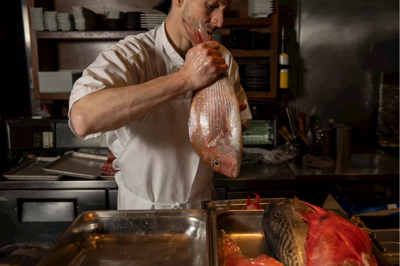 Fresher fish isn’t always better, Sushi Den’s Yasu Kizaki says. Here’s why they dry-age.