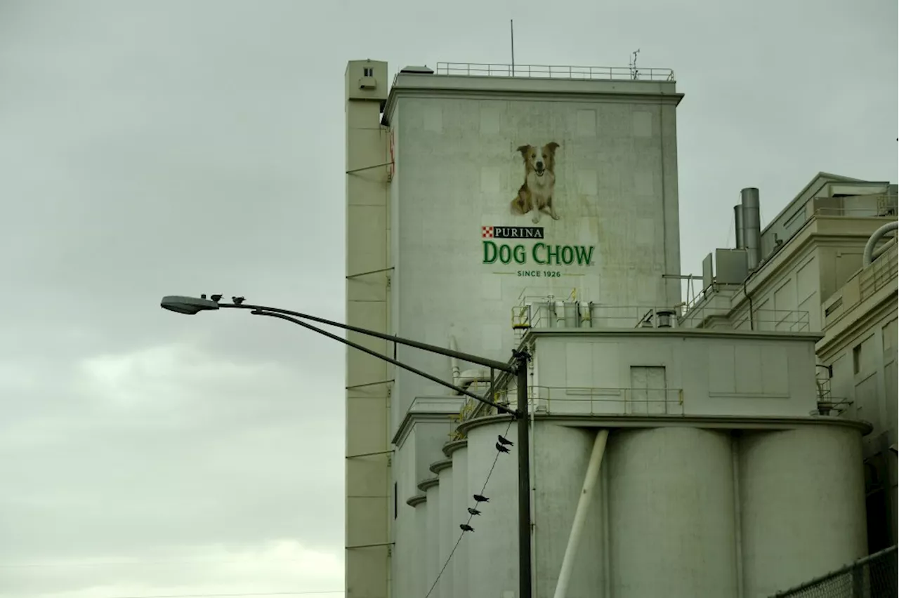 Neighbors sue Nestle-Purina over stench emitted by Denver pet food plant