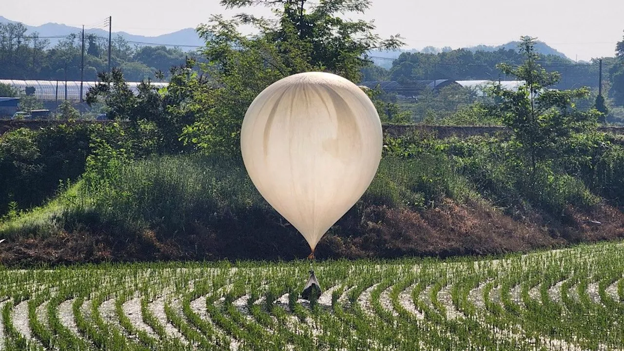 Müll und Exkremente: Südkorea warnt Bevölkerung vor Ekel-Ballons aus Nordkorea