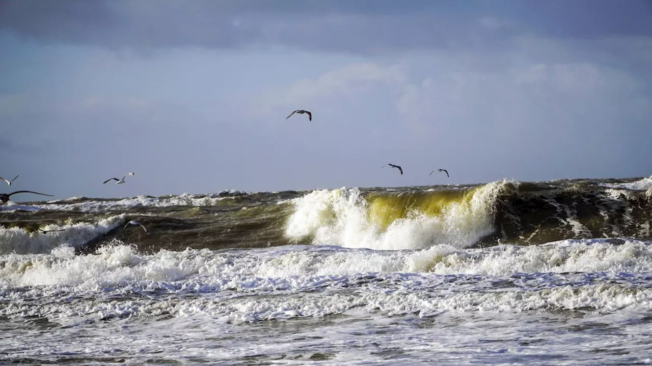 Rechtsextremes Gegröle und seine Folgen: Die Welle von Sylt