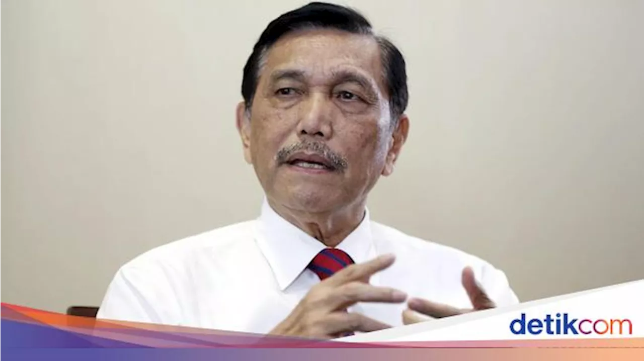 Luhut Mau 'Sulap' Minyak Jelantah Jadi Avtur, Begini Rencananya