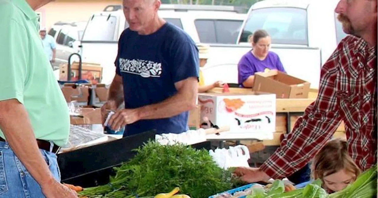 Farmers Market Peak Season kicks off Saturday