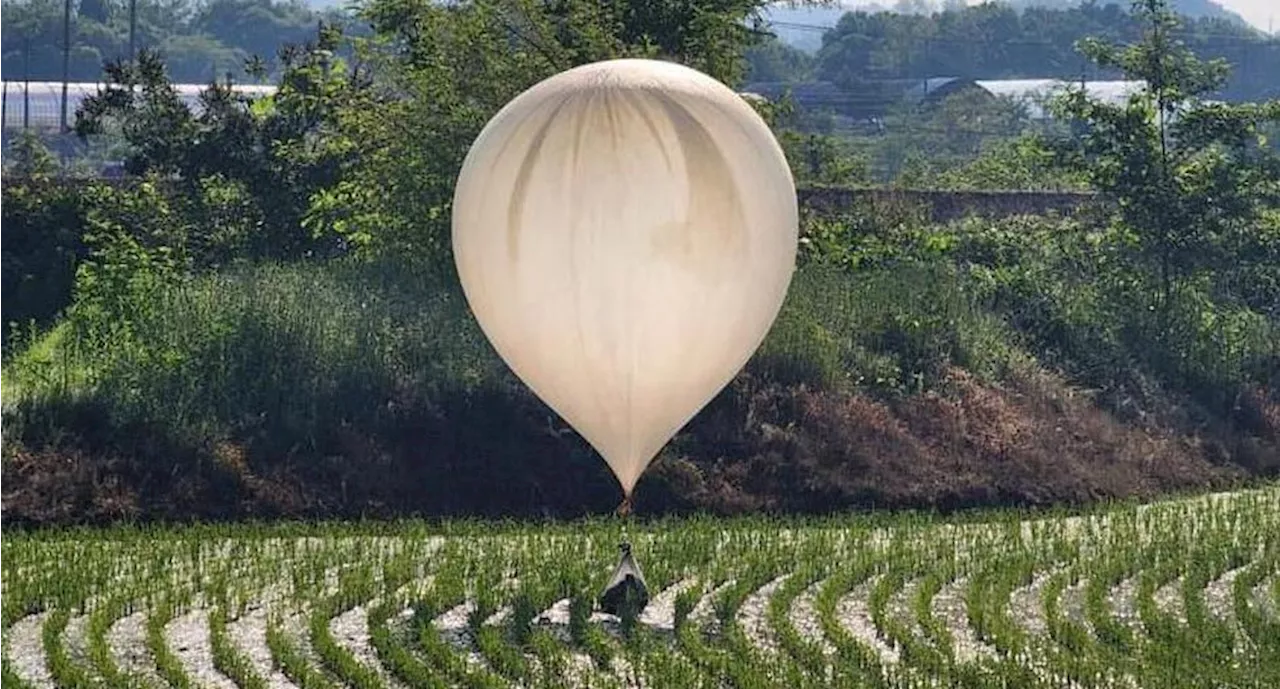 Guerra de la basura: Corea del Norte lanza cientos de globos con desechos y hasta heces a Corea del Sur