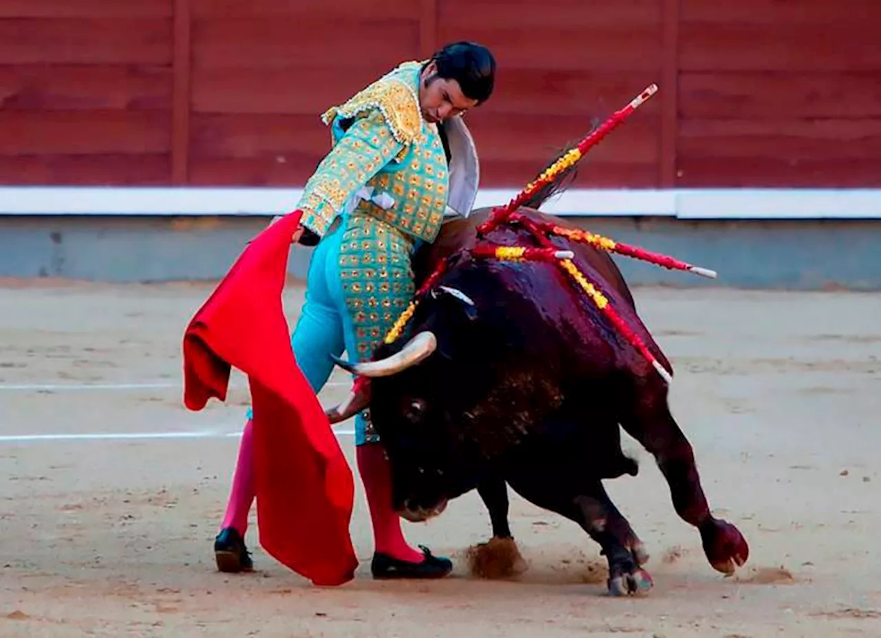 ¿Por qué aprobaron la prohibición de los espectáculos con toros y no de las corralejas?