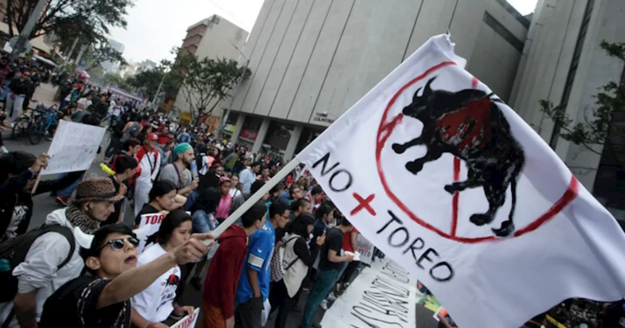 Cámara aprobó en último debate proyecto que prohíbe las corridas de toros en Colombia