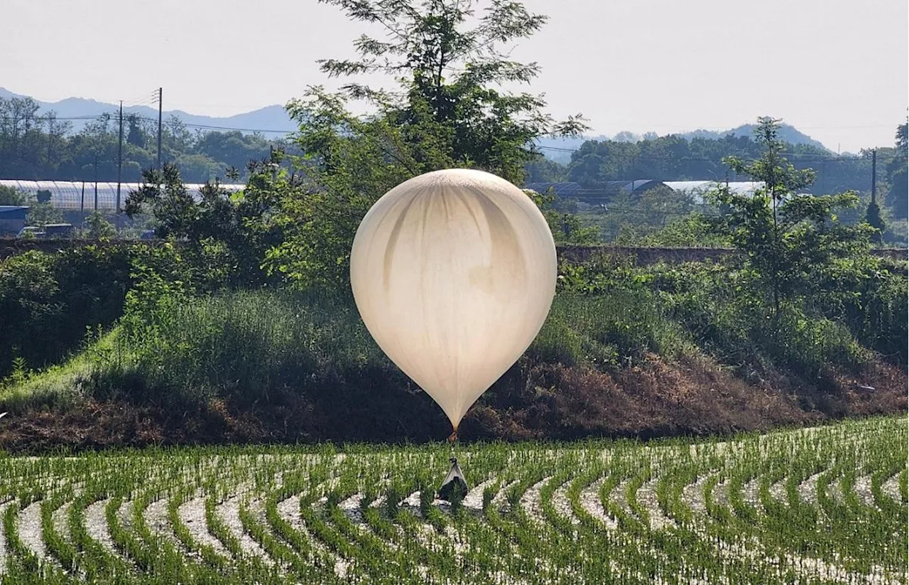 S.Korea accuses North of sending balloons with excrement across border