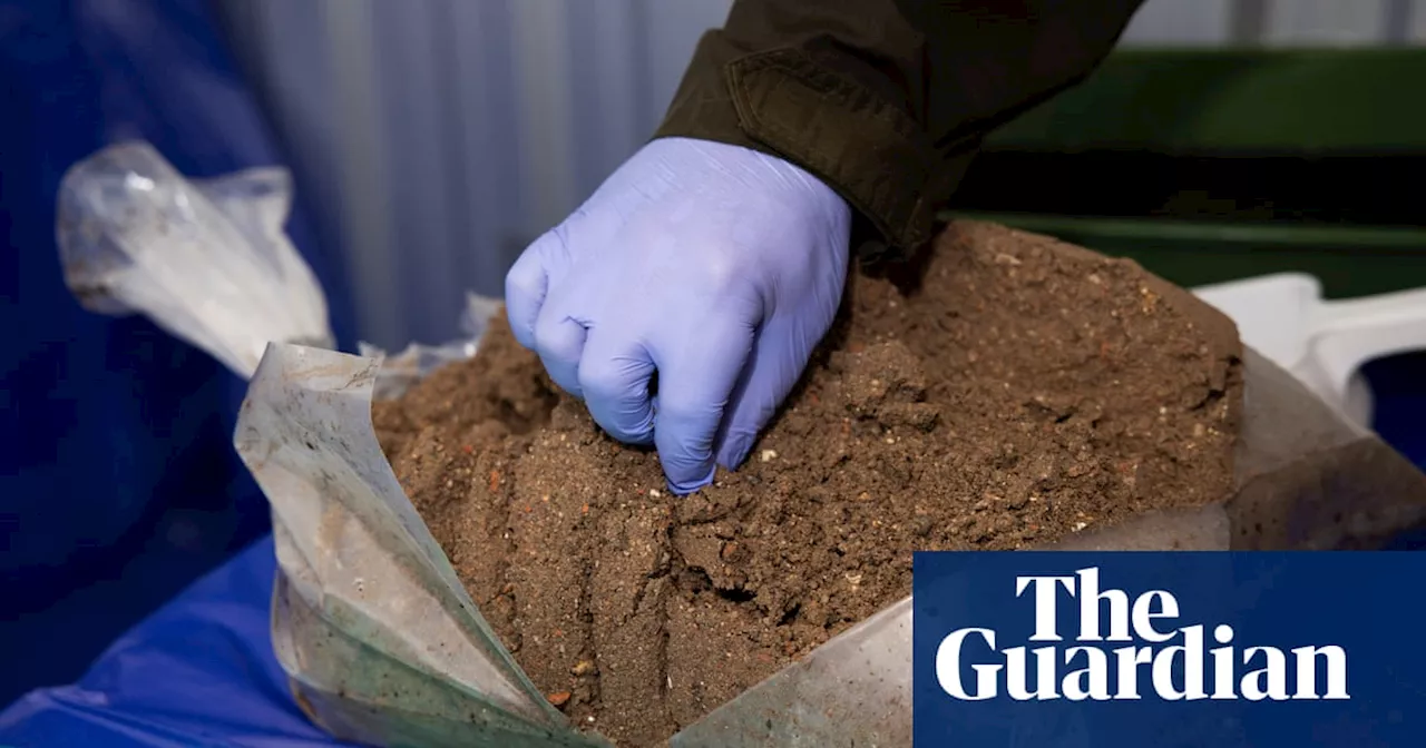 NSW government ‘very concerned’ about asbestos found in Sydney landscaping soil