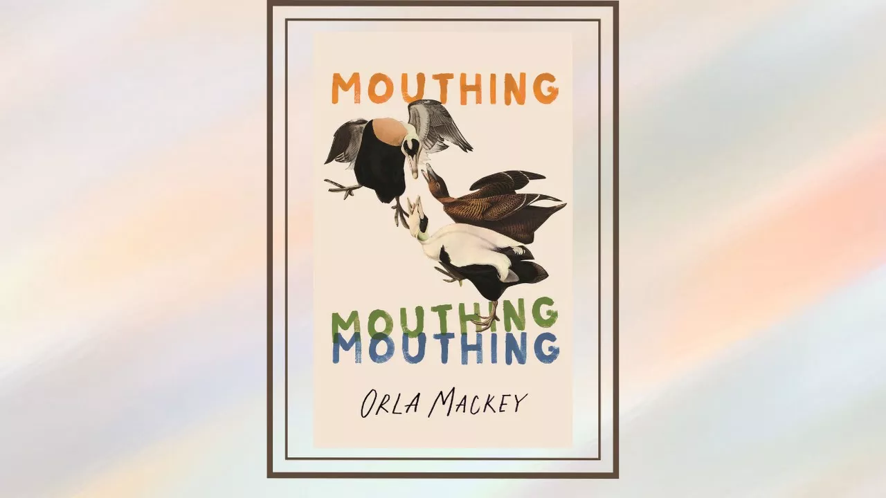 Read an extract from Orla Mackey’s debut, Mouthing