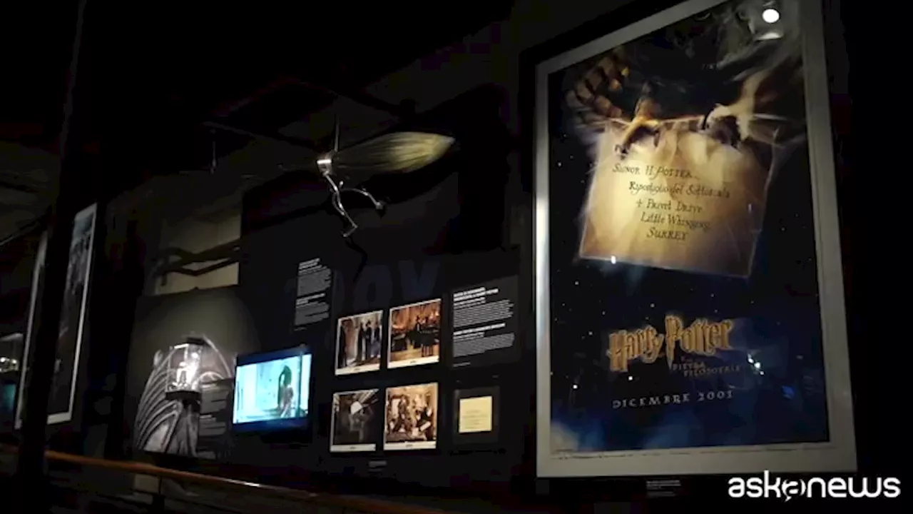 Da 'Harry Potter a 'Star Wars': a Torino cimeli di Hollywood in mostra con 'Movie Icons'