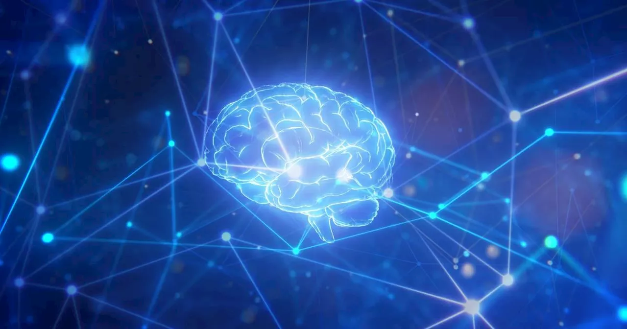 AI boom will create unprecedented opportunities, Oireachtas committee to hear
