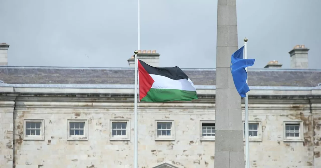 Ireland’s recognition of state of Palestine marks a historic day for Irish politics