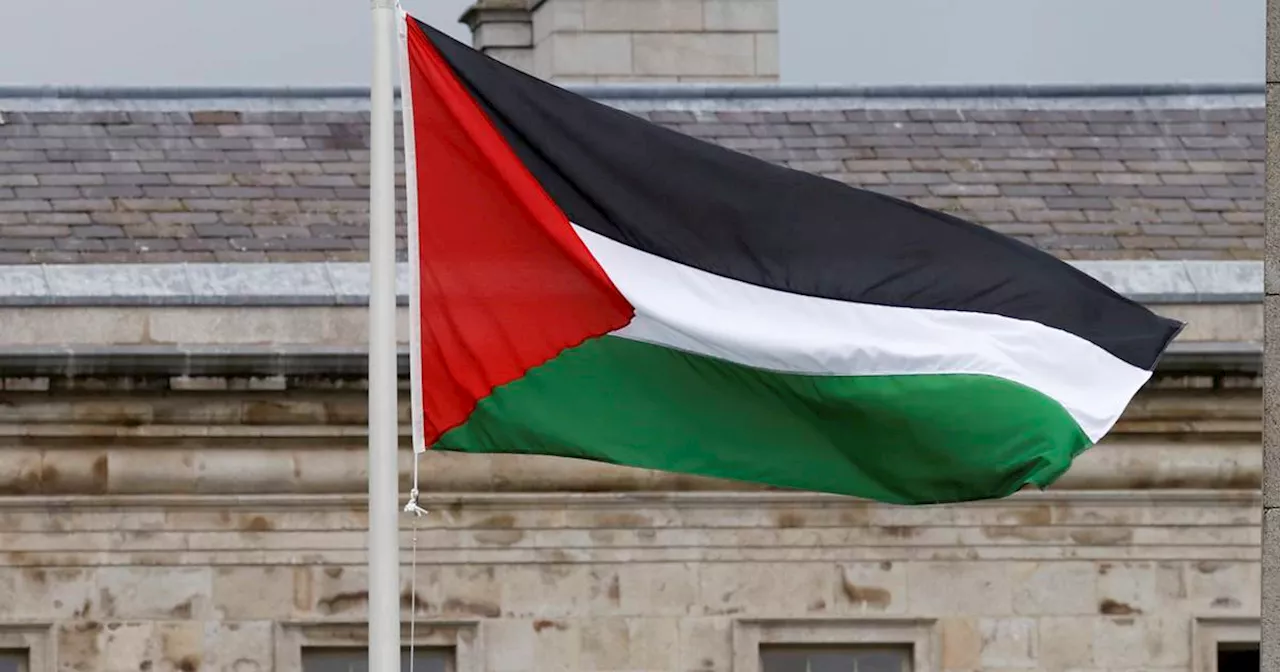 Man charged over trespass at Leinster House in alleged bid to remove Palestinian flag