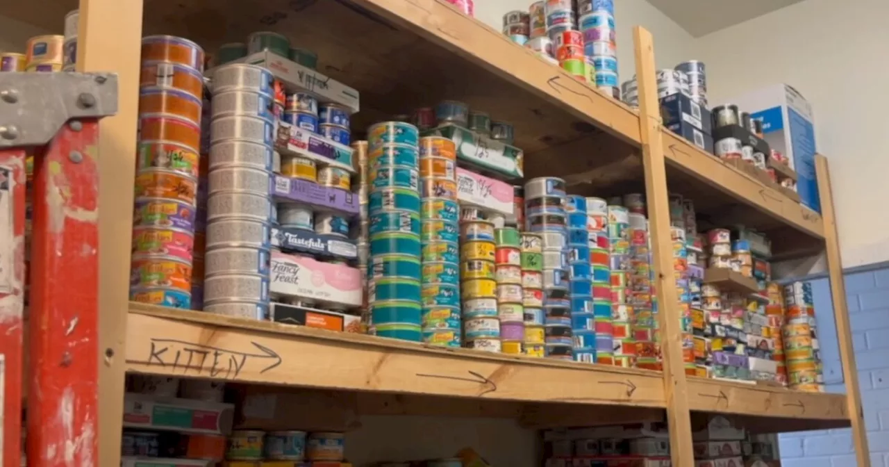 Southern Arizona Animal Food Bank Looking to Launch New Project