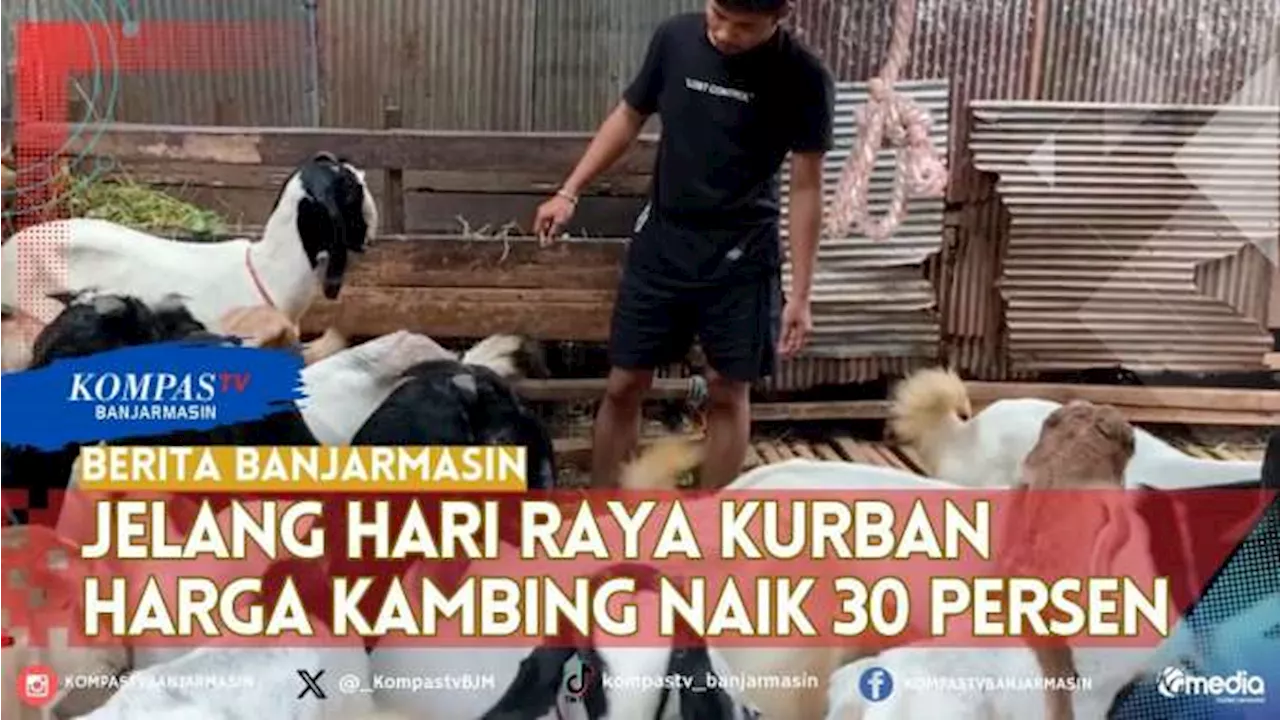 Jelang Hari Raya Kurban, Harga Kambing di Banjarmasin Naik 30 Persen