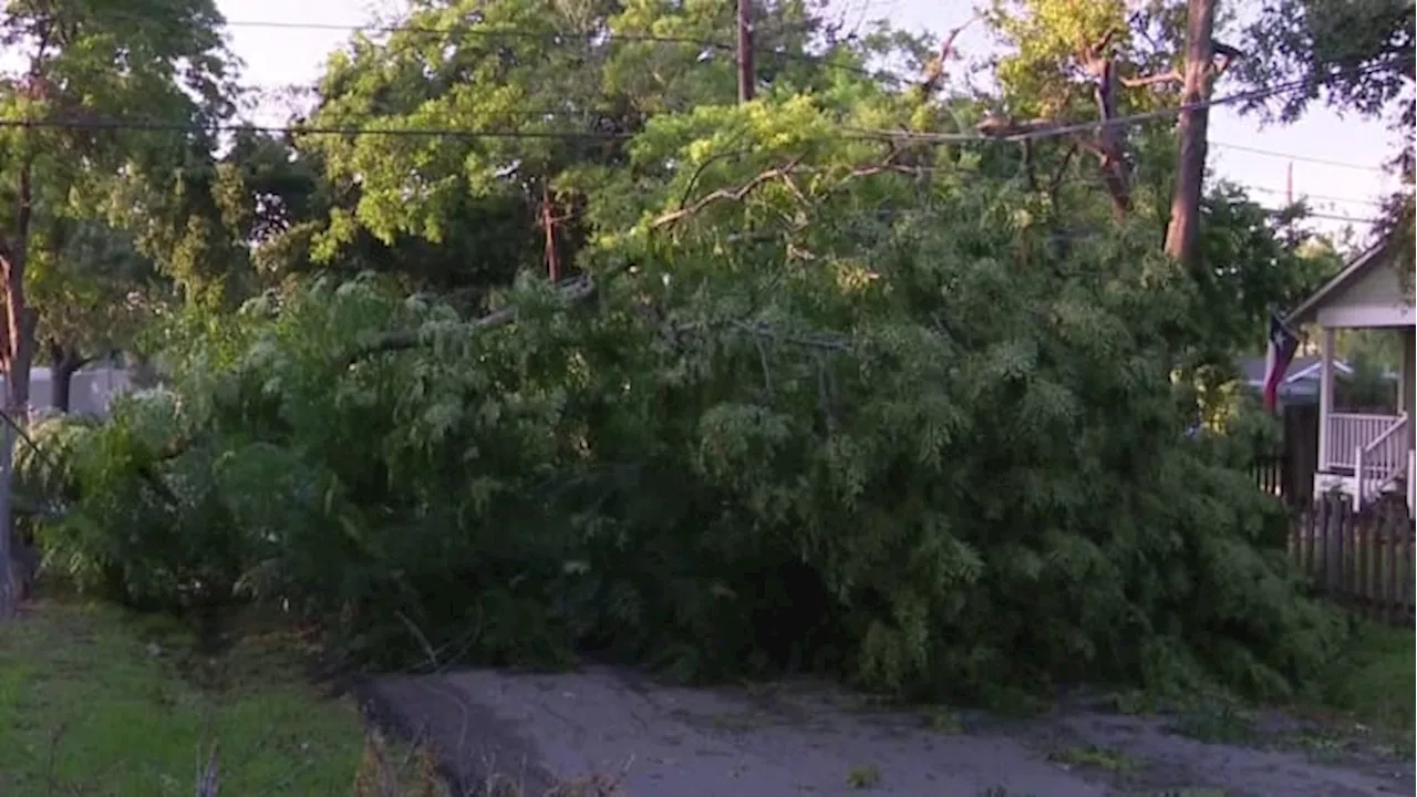 How strong were the wind gusts during Tuesday’s severe weather?