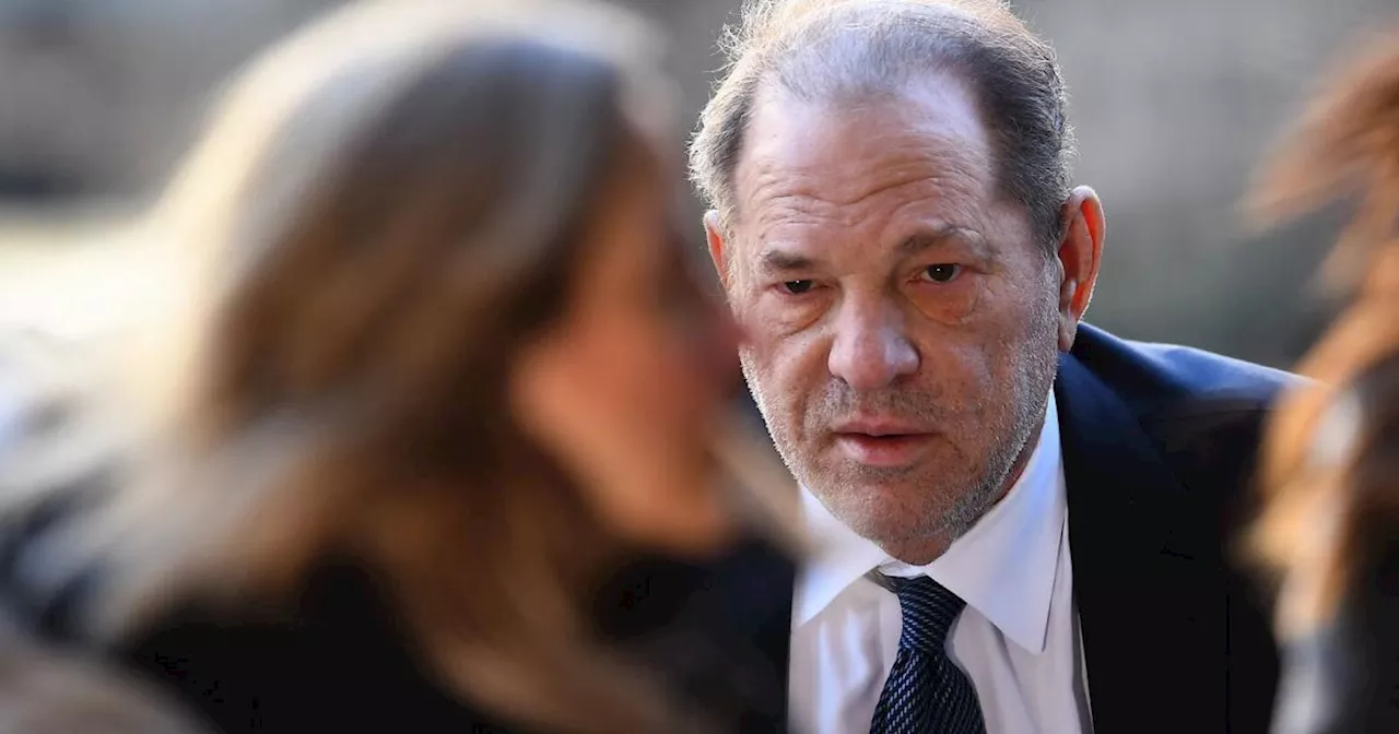 Neuer Weinstein-Prozess mit mehr Opfer-Aussagen