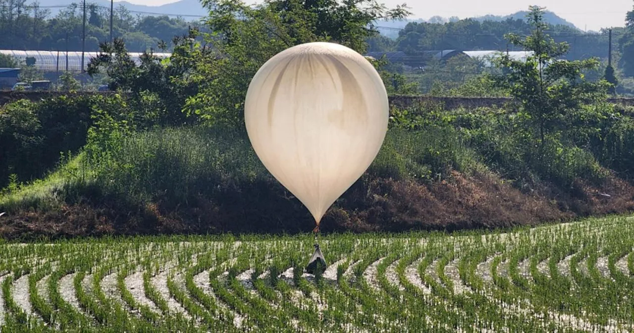 Nordkorea schickt Ballons mit Säcken voller Kot nach Südkorea