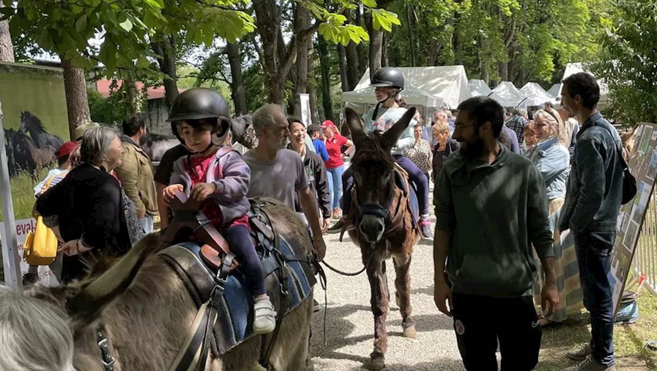 Lavelanet : la fête de la montagne a mis en avant les atouts du Grand site