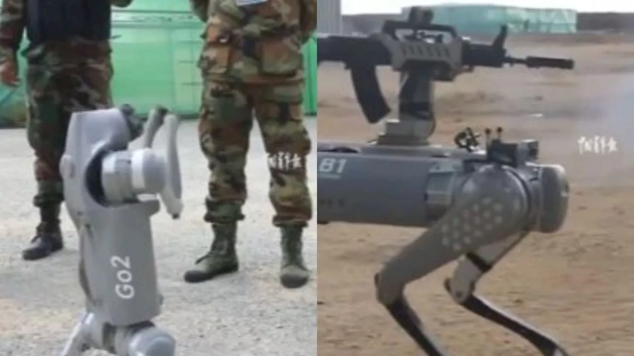 China presume perros robot con rifles que usará en su ejército