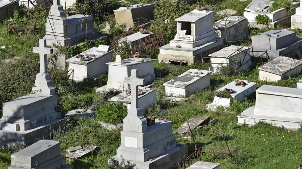 Un chien tue une femme de 93 ans dans un cimetière du sud de la France