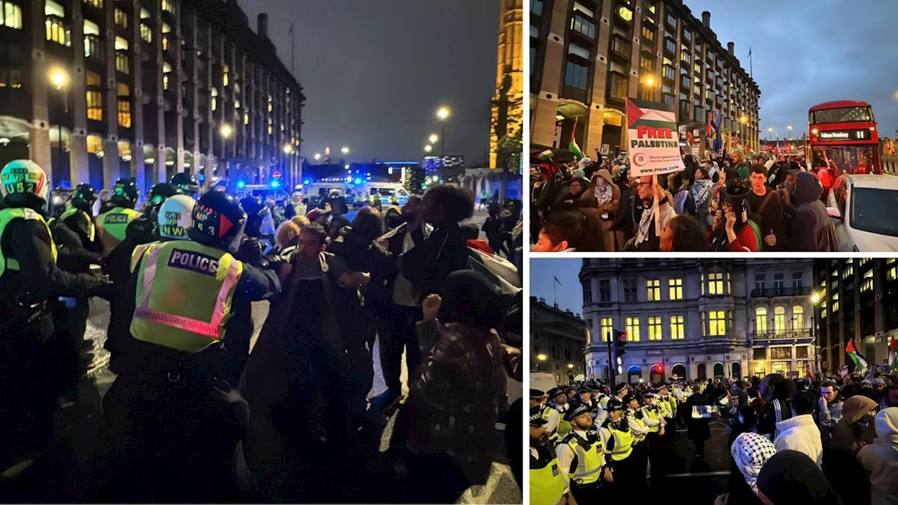 Three officers injured and 40 people arrested after police clash with pro-Palestine protesters in Westminster