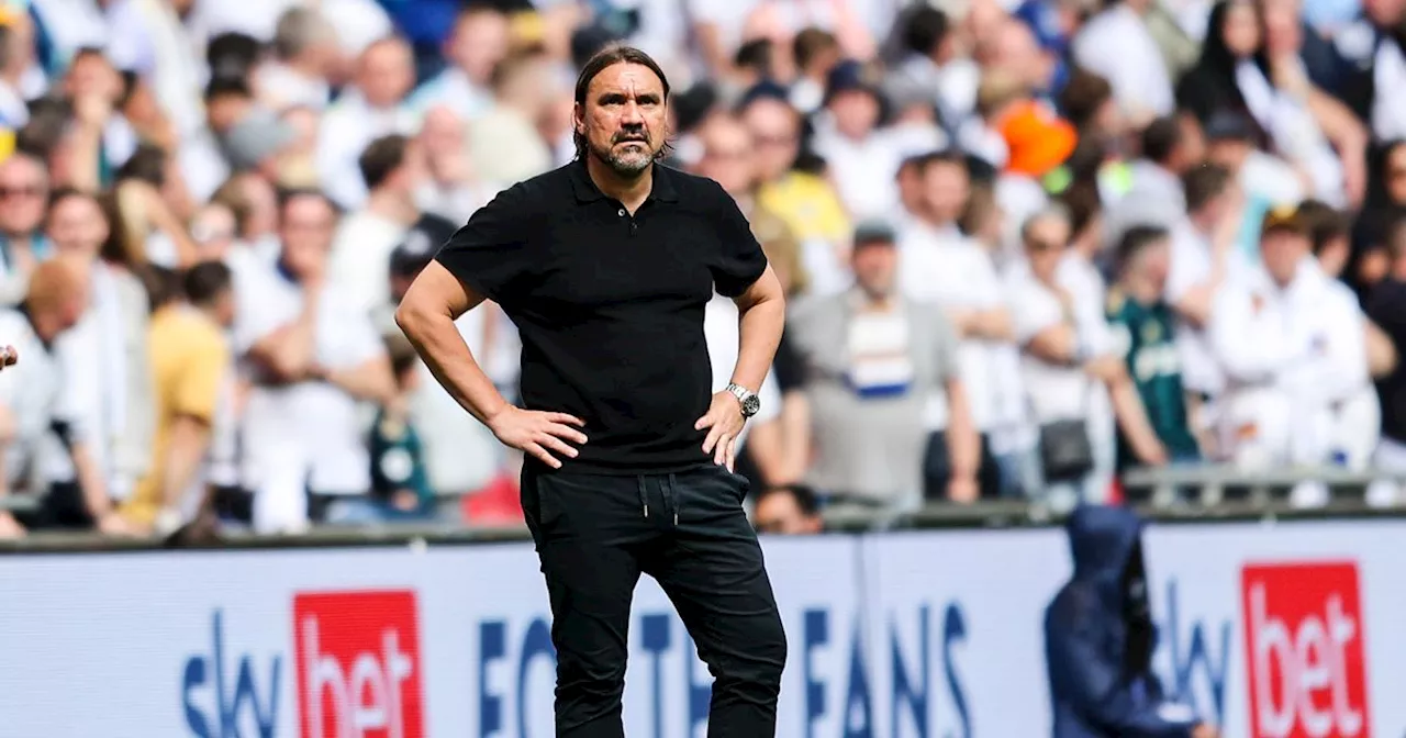 Carlton Palmer makes Daniel Farke admission amid Leeds United future