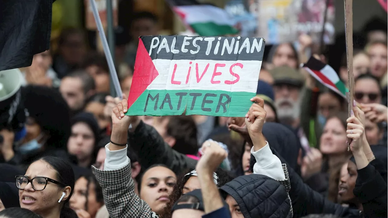 Guerre à Gaza : les manifestations continuent en France, des mairies éteignent leurs lumières