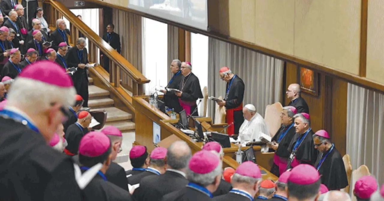 Papa Francesco, se ci fosse la legge Zan il pontefice sarebbe incriminato