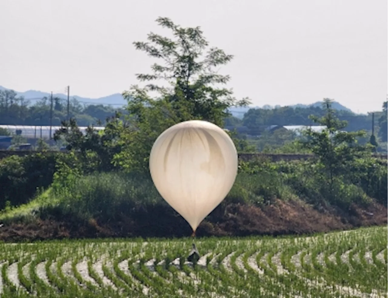 Border alert: North Korean drops balloons filled with trash and excrement over South Korea