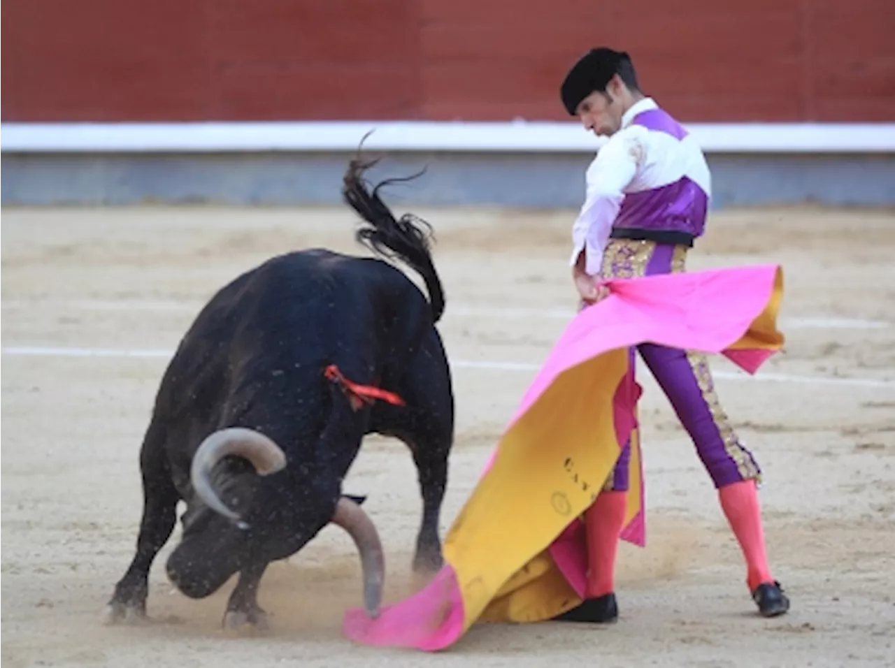 Bullfighting no more: Colombia congress passes bill banning the popular pastime