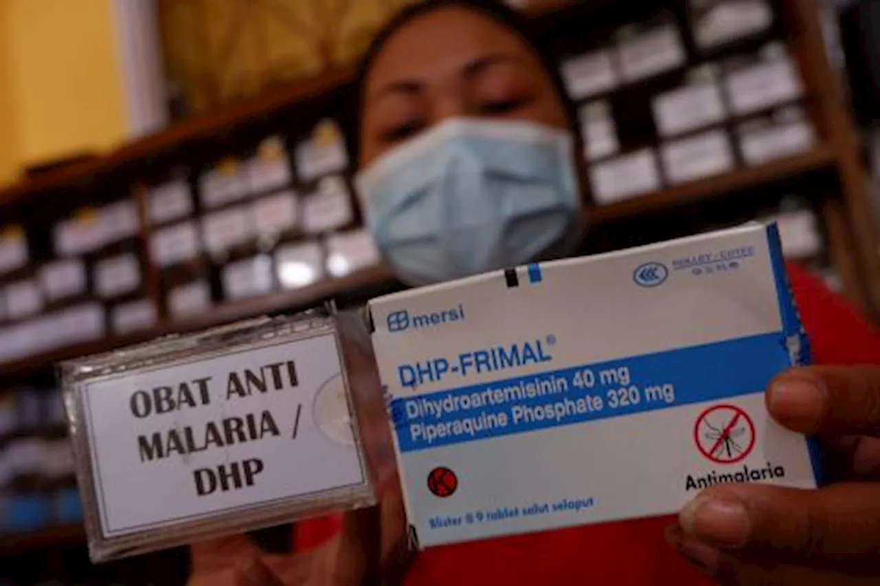 Papua Masih jadi Daerah Terbanyak Malaria